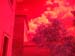 IMG_20140806_150626