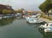 Grado 12
