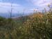 IMG_20140618_105959