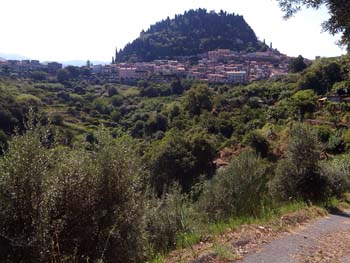 IMG_20140717_100532