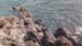 Salina (101)